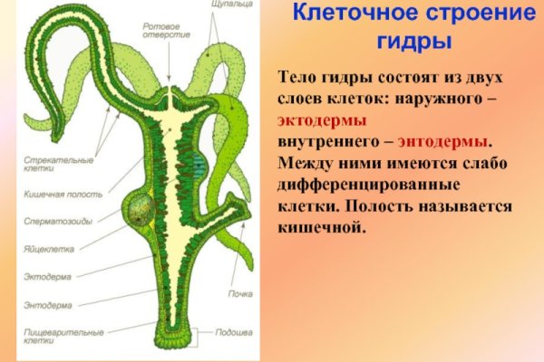 Кракен современный даркнет маркет плейс