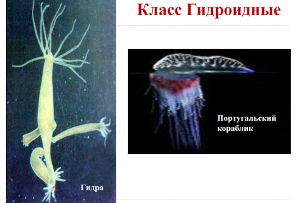 Какой нужен тор чтоб зайти в кракен