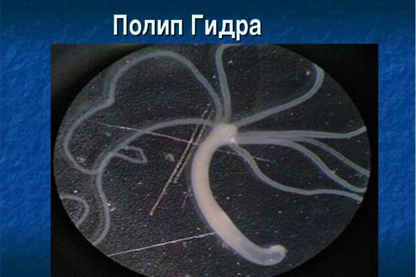 Кракен маркетплейс закрыли