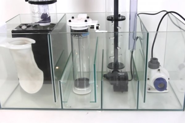 Войти даркнет